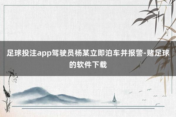 足球投注app驾驶员杨某立即泊车并报警-赌足球的软件下载