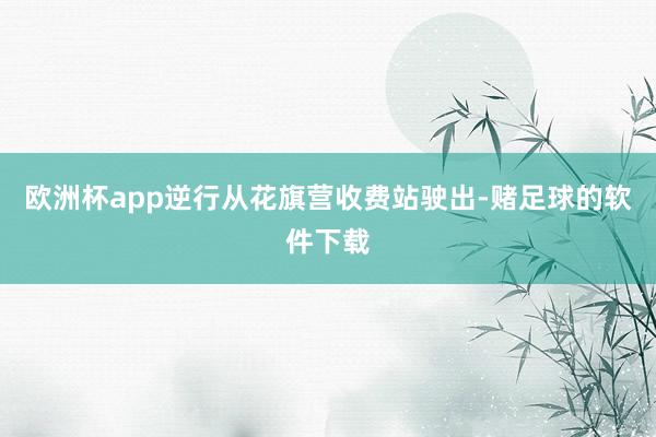 欧洲杯app逆行从花旗营收费站驶出-赌足球的软件下载