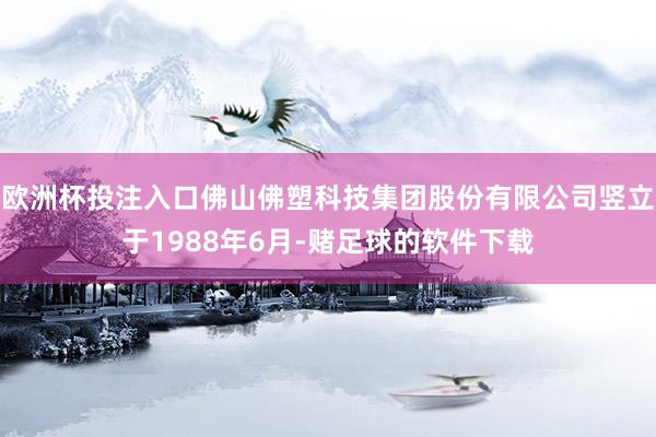 欧洲杯投注入口佛山佛塑科技集团股份有限公司竖立于1988年6月-赌足球的软件下载