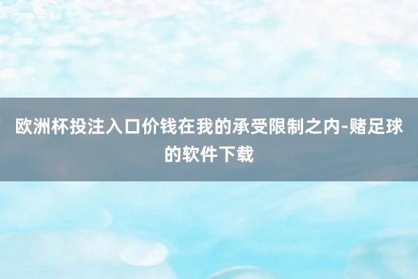 欧洲杯投注入口价钱在我的承受限制之内-赌足球的软件下载