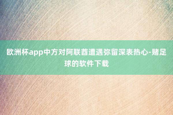 欧洲杯app中方对阿联酋遭遇弥留深表热心-赌足球的软件下载