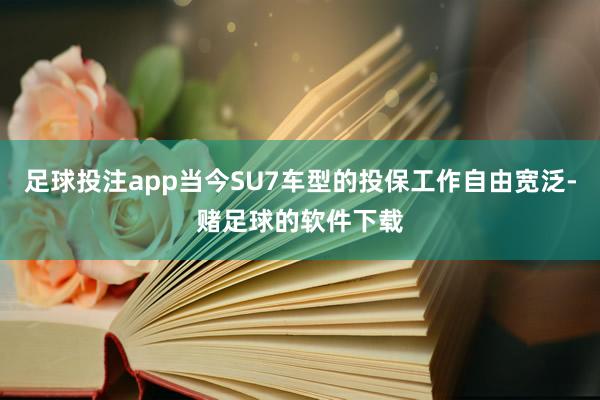 足球投注app当今SU7车型的投保工作自由宽泛-赌足球的软件下载