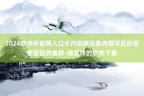 2024欧洲杯官网入口水内部照旧是肉眼可见的密密匝匝的鱼群-赌足球的软件下载