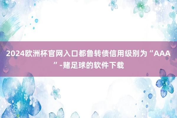 2024欧洲杯官网入口都鲁转债信用级别为“AAA”-赌足球的软件下载