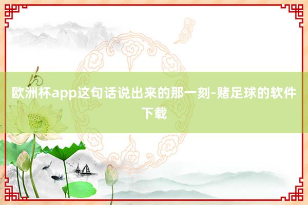 欧洲杯app这句话说出来的那一刻-赌足球的软件下载