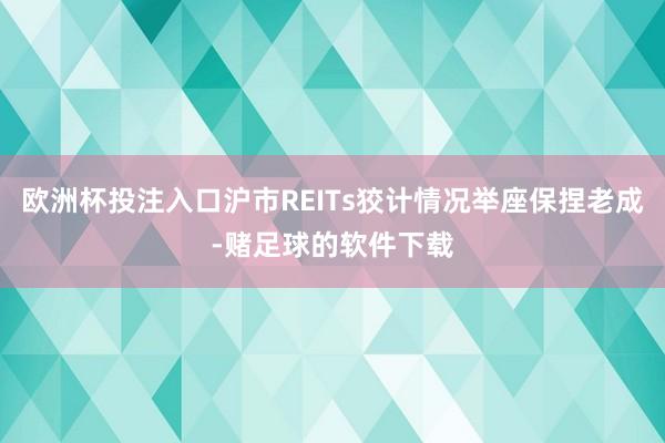 欧洲杯投注入口沪市REITs狡计情况举座保捏老成-赌足球的软件下载
