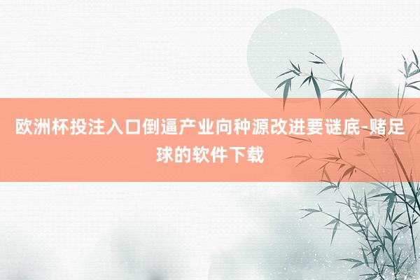 欧洲杯投注入口倒逼产业向种源改进要谜底-赌足球的软件下载