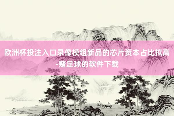 欧洲杯投注入口录像模组新品的芯片资本占比拟高-赌足球的软件下载