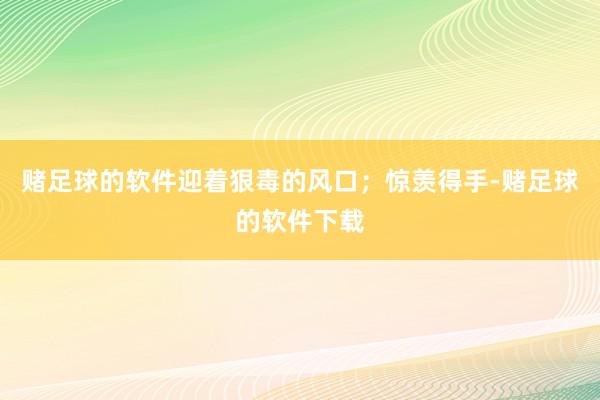 赌足球的软件迎着狠毒的风口；惊羡得手-赌足球的软件下载