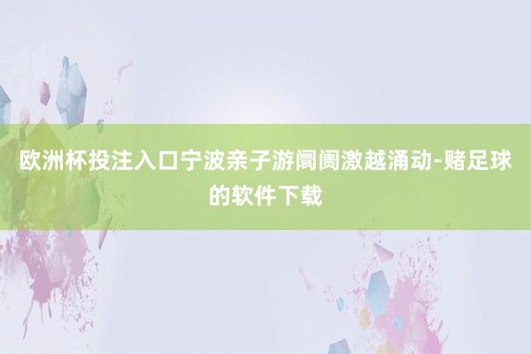 欧洲杯投注入口宁波亲子游阛阓激越涌动-赌足球的软件下载