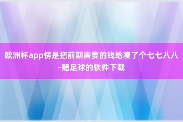 欧洲杯app愣是把前期需要的钱给凑了个七七八八-赌足球的软件下载