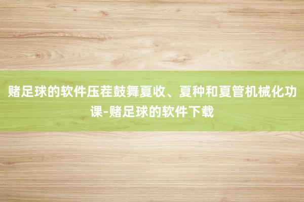 赌足球的软件压茬鼓舞夏收、夏种和夏管机械化功课-赌足球的软件下载