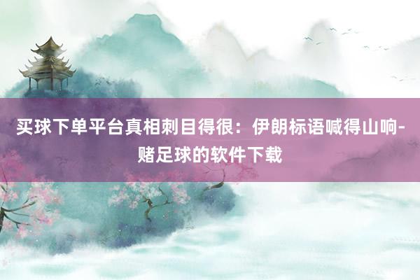 买球下单平台真相刺目得很：伊朗标语喊得山响-赌足球的软件下载