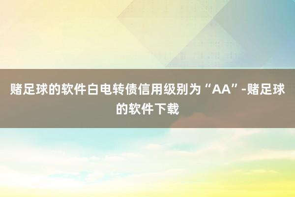 赌足球的软件白电转债信用级别为“AA”-赌足球的软件下载