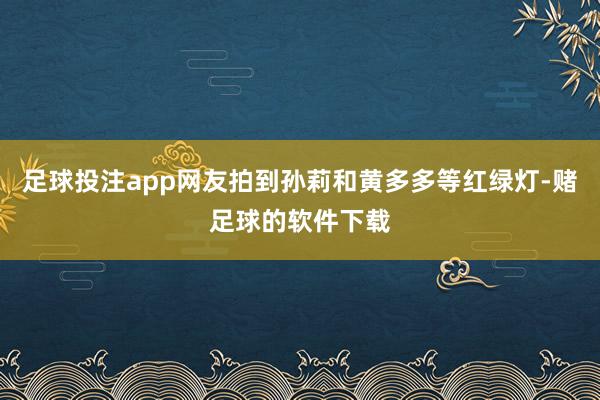 足球投注app网友拍到孙莉和黄多多等红绿灯-赌足球的软件下载