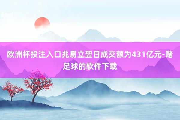 欧洲杯投注入口兆易立翌日成交额为431亿元-赌足球的软件下载