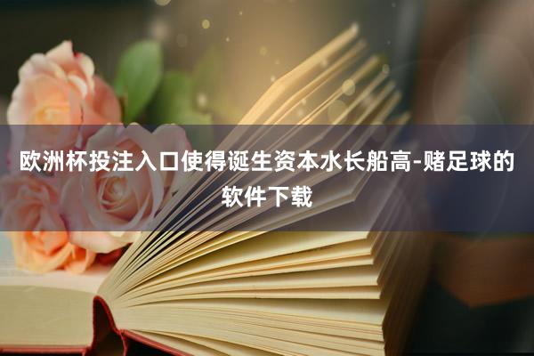 欧洲杯投注入口使得诞生资本水长船高-赌足球的软件下载