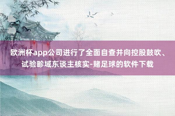欧洲杯app公司进行了全面自查并向控股鼓吹、试验畛域东谈主核实-赌足球的软件下载
