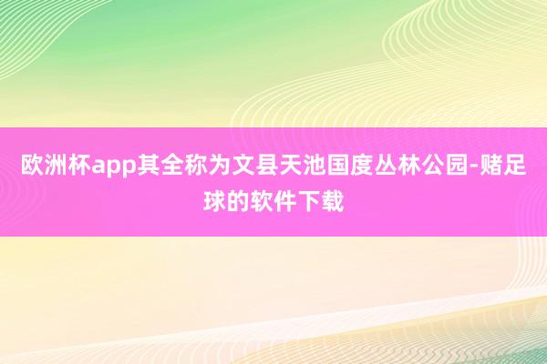 欧洲杯app其全称为文县天池国度丛林公园-赌足球的软件下载