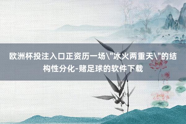 欧洲杯投注入口正资历一场