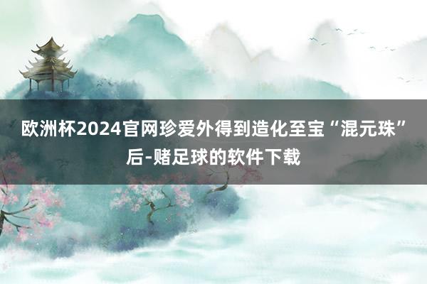 欧洲杯2024官网珍爱外得到造化至宝“混元珠”后-赌足球的软件下载