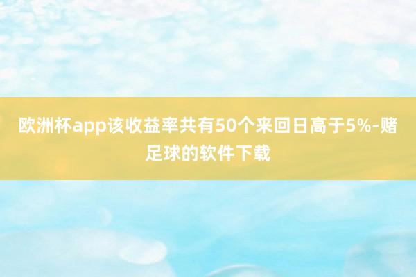 欧洲杯app该收益率共有50个来回日高于5%-赌足球的软件下载