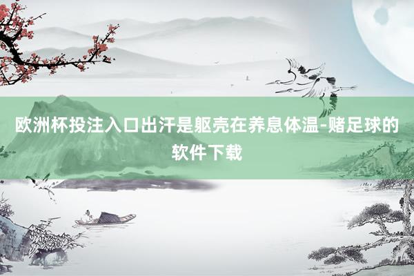 欧洲杯投注入口出汗是躯壳在养息体温-赌足球的软件下载
