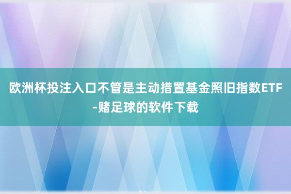 欧洲杯投注入口不管是主动措置基金照旧指数ETF-赌足球的软件下载