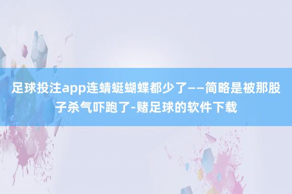 足球投注app连蜻蜓蝴蝶都少了——简略是被那股子杀气吓跑了-赌足球的软件下载