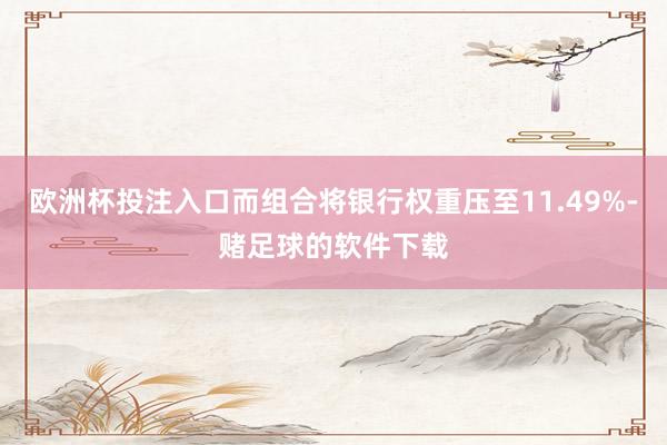 欧洲杯投注入口而组合将银行权重压至11.49%-赌足球的软件下载