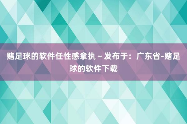 赌足球的软件任性感拿执~发布于:广东省-赌足球的软件下载