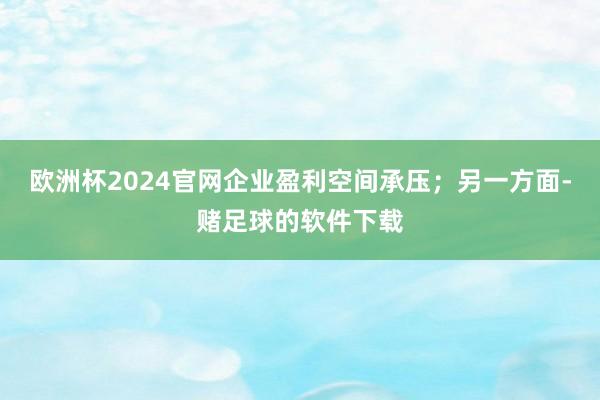 欧洲杯2024官网企业盈利空间承压；另一方面-赌足球的软件下载