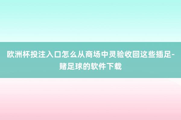 欧洲杯投注入口怎么从商场中灵验收回这些插足-赌足球的软件下载