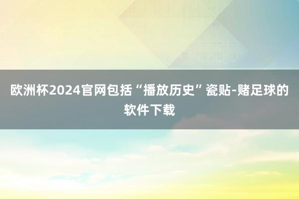 欧洲杯2024官网包括“播放历史”瓷贴-赌足球的软件下载