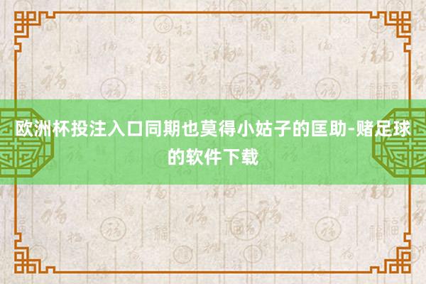 欧洲杯投注入口同期也莫得小姑子的匡助-赌足球的软件下载