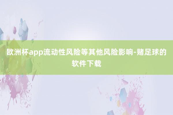 欧洲杯app流动性风险等其他风险影响-赌足球的软件下载