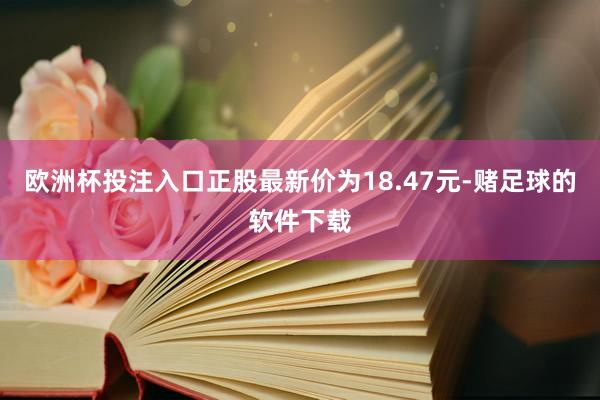 欧洲杯投注入口正股最新价为18.47元-赌足球的软件下载