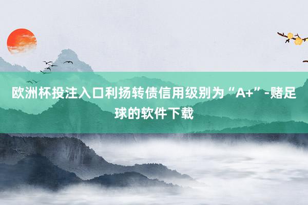 欧洲杯投注入口利扬转债信用级别为“A+”-赌足球的软件下载