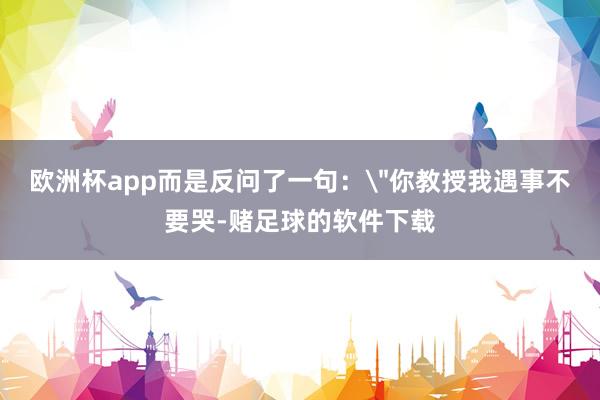 欧洲杯app而是反问了一句：