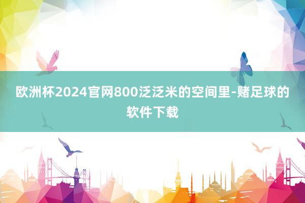 欧洲杯2024官网800泛泛米的空间里-赌足球的软件下载