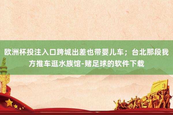 欧洲杯投注入口跨城出差也带婴儿车;台北那段我方推车逛水族馆-赌足球的软件下载