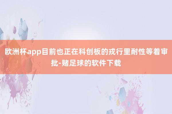 欧洲杯app目前也正在科创板的戎行里耐性等着审批-赌足球的软件下载