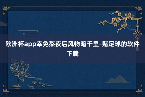 欧洲杯app幸免熬夜后风物暗千里-赌足球的软件下载