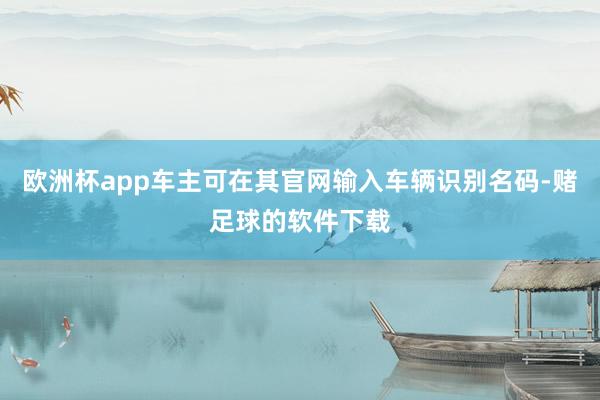 欧洲杯app车主可在其官网输入车辆识别名码-赌足球的软件下载