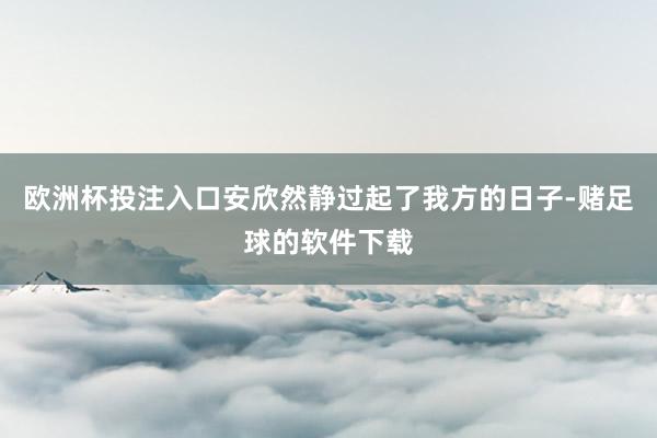 欧洲杯投注入口安欣然静过起了我方的日子-赌足球的软件下载