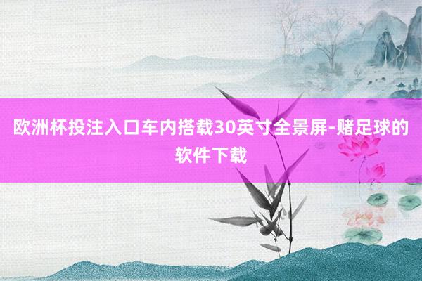 欧洲杯投注入口车内搭载30英寸全景屏-赌足球的软件下载